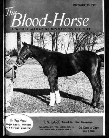 <strong>BloodHorse</strong> magazine, <strong>horse</strong> racing's most respected publication, brings you this popular calendar! Created by our staff, this 13-month calendar displays beautiful color photographs of Thoroughbred racing and breeding by the industry's top equine photographers for your year-round enjoyment. . The blood horse